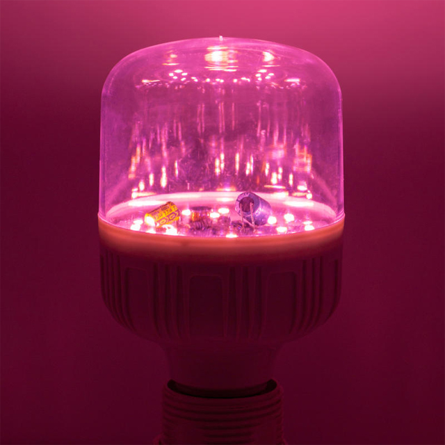 LED Flowering Lamp T80